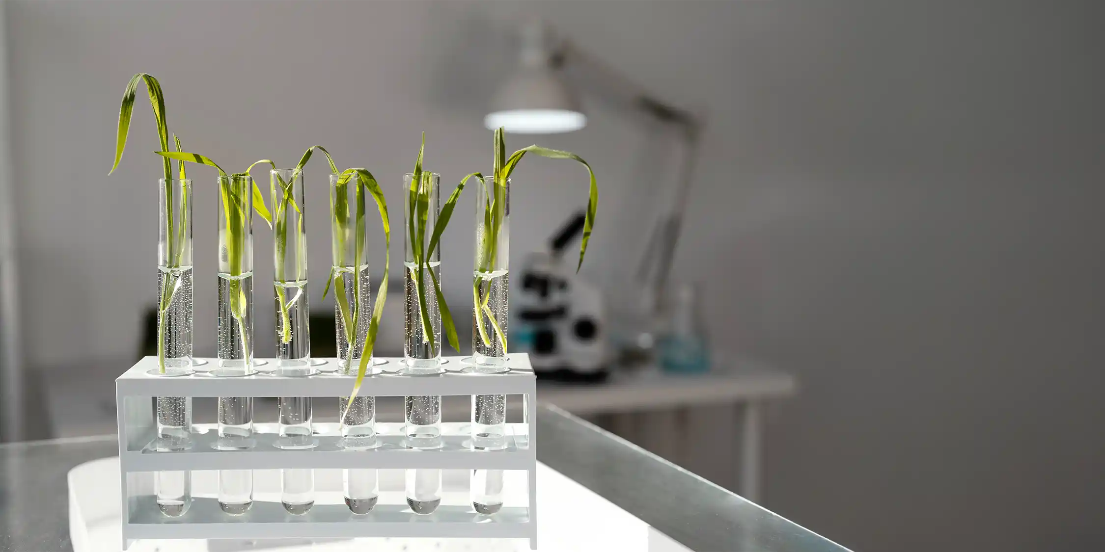 Akıllı Makine Parkuru