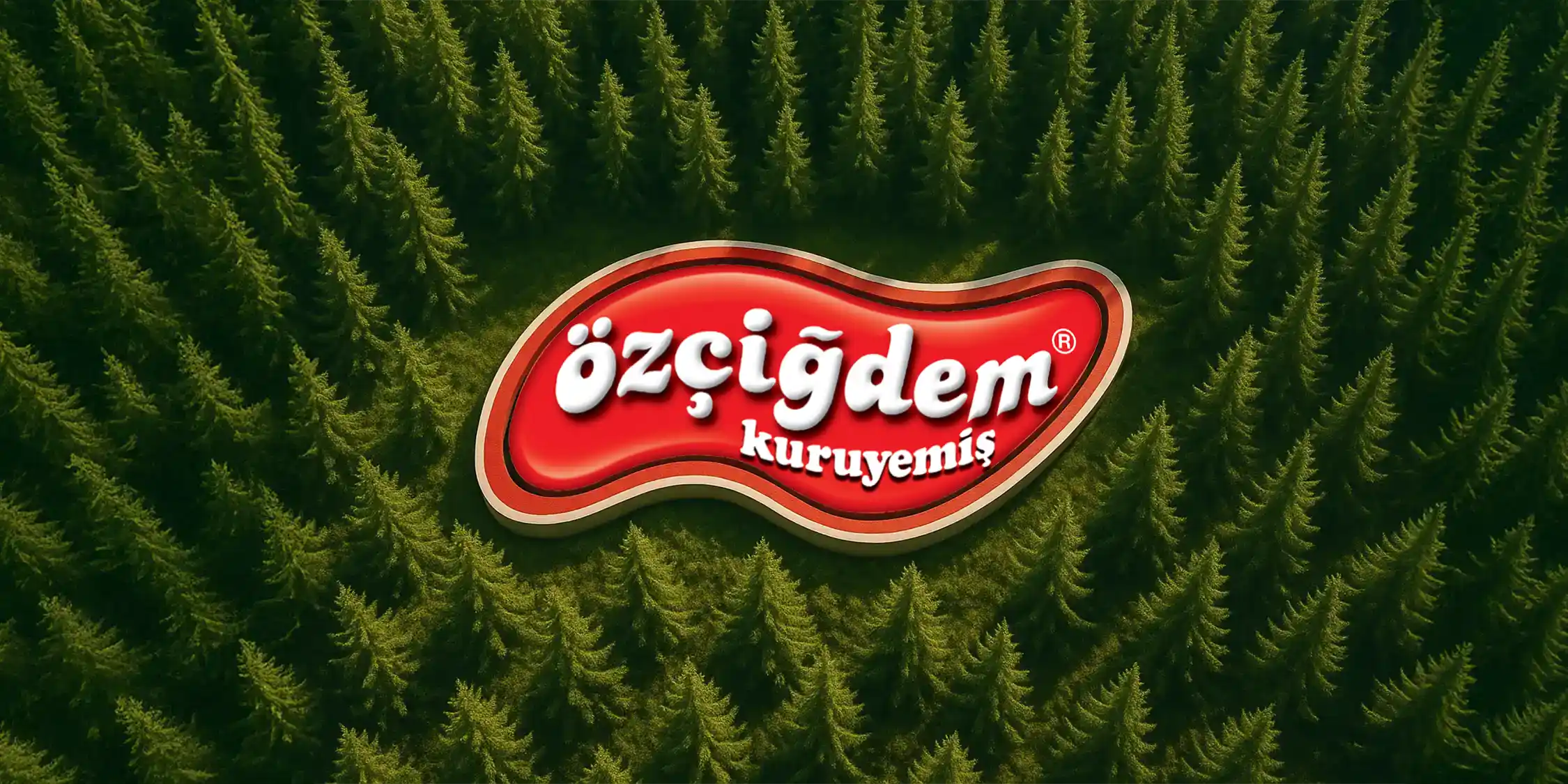 Akıllı Makine Parkuru