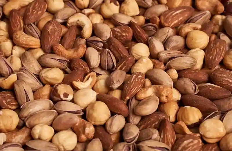 Kuruyemişlerin Zihinsel Performans Üzerindeki Bilimsel Etkileri